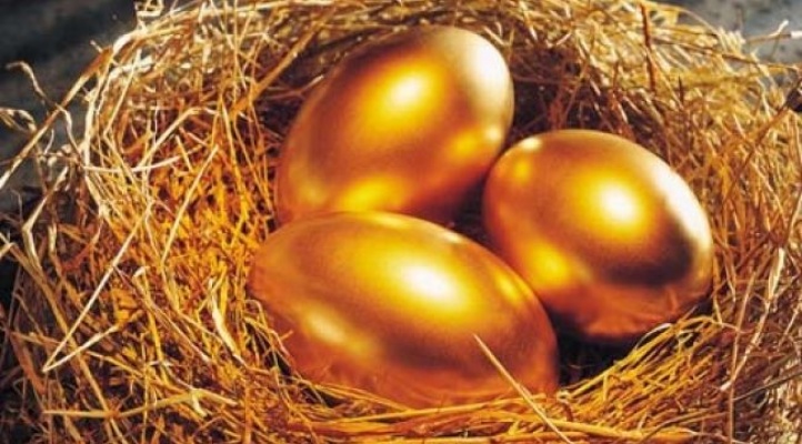 Zamlardan Sonra Tavuklar Altın Yumurtluyor