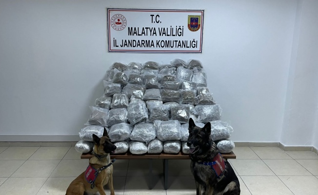 Operasyonda 83 Kilo Skunk Ele Geçirildi