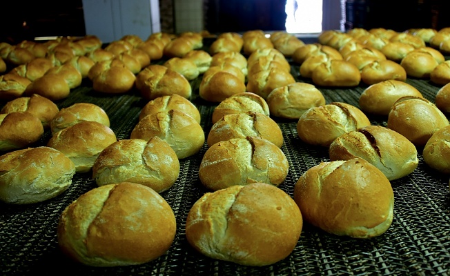 Megsaş Günlük 250 Bin Ekmek Üretiyor