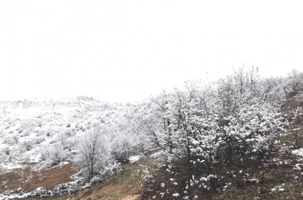Malatya'da Nisan Ayında Kar Yağışı!