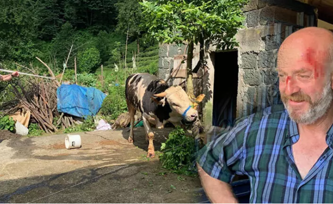 Acemi Kasaplar Hastanelik Oldu