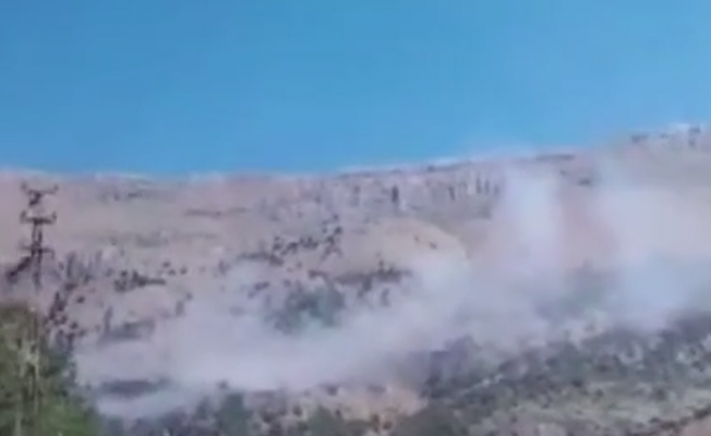 Pütürge’de Ormanlık Alan Yandı