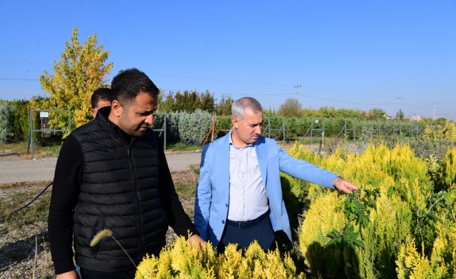 Yeşilyurt ‘Milli Ağaçlandırma Günü’ Etkinliklerine Hazırlanıyor