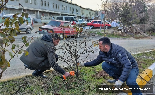 Arapgir Belediyesi Çevre Düzenlemesine Devam Ediyor