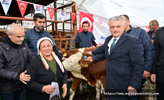 Depremzede Üreticilere Hayvan ve Sıvat Desteği