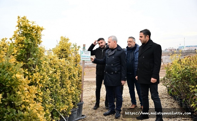 Kişi Başına Düşen Yeşil Alan Miktarı 5,6’ya Yükseldi