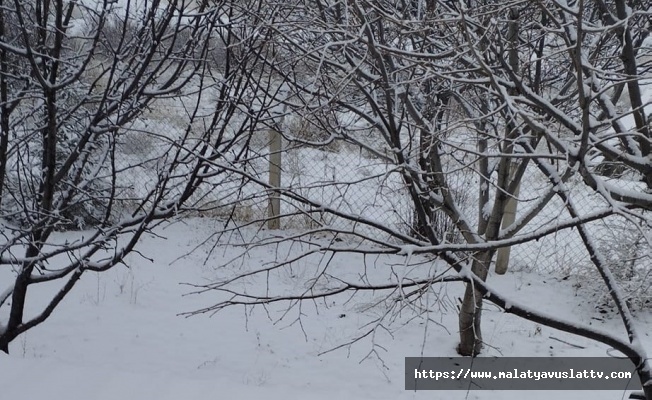 Malatya’da Kar Yağışı Etkili Oldu