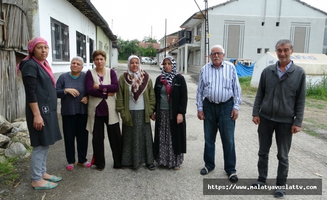 Sokak Köpekleri Mahalleliyi Canından Bezdirdi