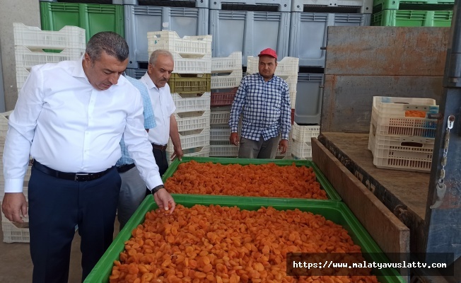 Malatya'da Lisanslı Depolar 2 Haftada Yaklaşık Bin 500 Ton Ürün Alımı Yaptı Malatya'da Lisanslı Depolar 2 Haftada Yaklaşık Bin 500 Ton Ürün Alımı Yaptı