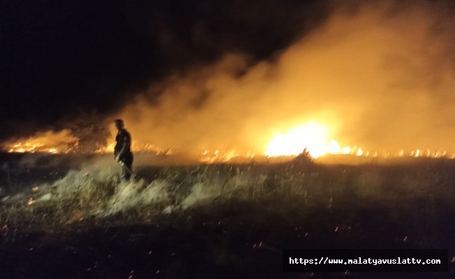 Tam 25 Kayısı Ağacı Zarar Gördü