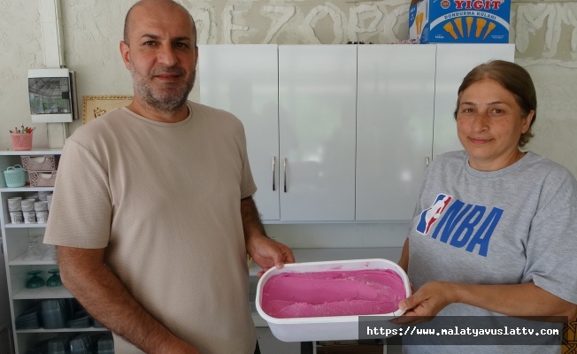 Tescilli Mor Reyhan Bu Kez Dondurma Oldu