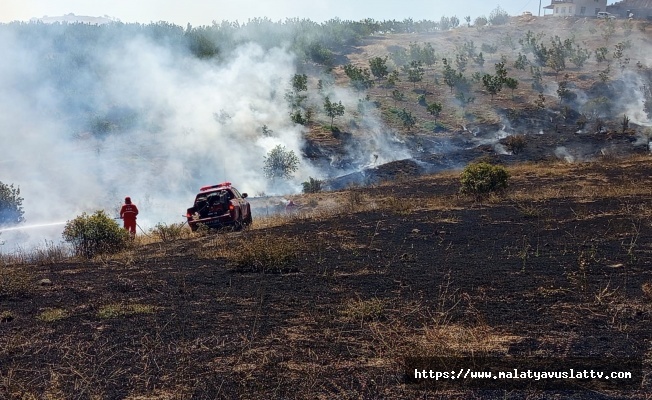 Hekimhan'da Ormanlık Alanda Çıkan Yangın Söndürüldü