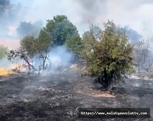 Malatya'da Orman Yangını