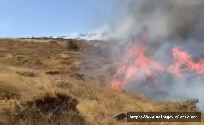 Malatya'daki Orman Yangını Kontrol Altına Alındı