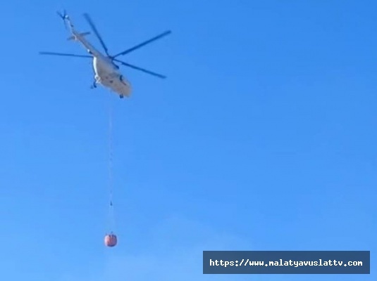 Malatya'daki Orman Yangını Kontrol Altına Alındı