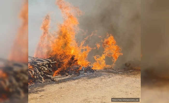 Malatya'nın Doğanyol İlçesinde Orman Yangını
