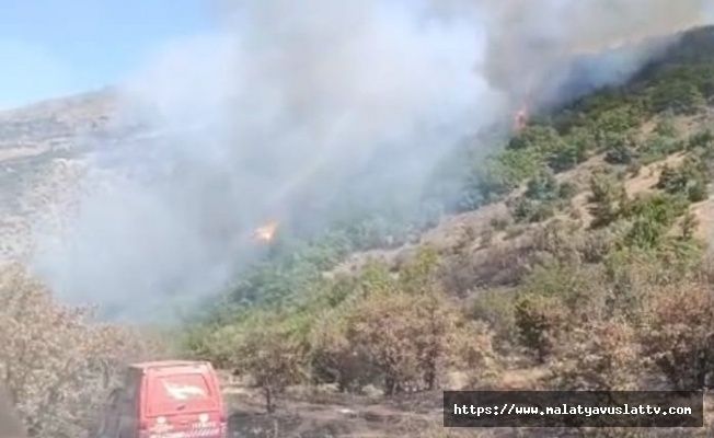 Malatya’daki Orman Yangını Söndürüldü