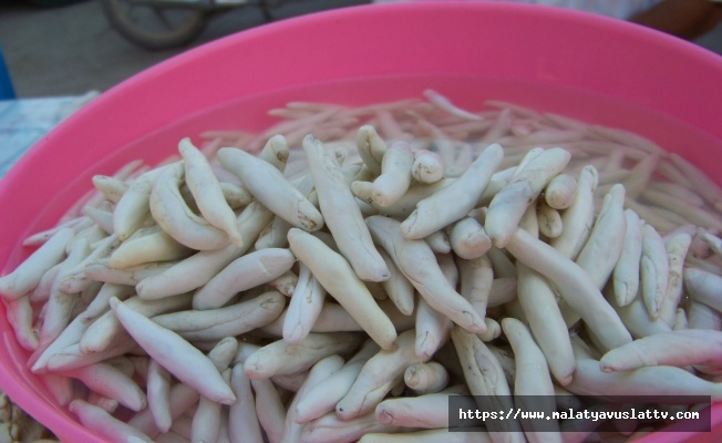 Kenger Sakızı İçinde Coğrafi İşaret Başvurusunda Bulunuldu