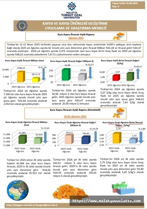 Kuru Kayısı Raporu: İhracatta Sert Düşüş