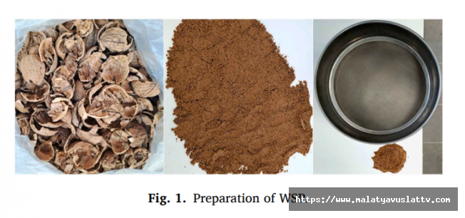 Ceviz Kabuğundan Bilim Doğdu: Malatya Dünyaya Yeşil Yol Açtı