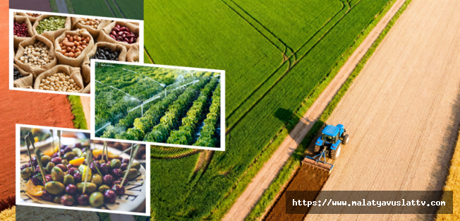 Çiftçiye 332 Milyon TL'lik Destek Ödemesi Hesaplara Yattı!