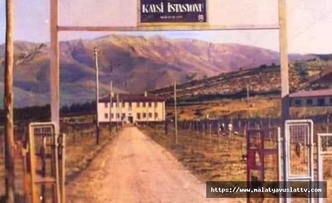 Tecde Muhtarı Ali Yiğit’ten Kayısı Açık Hava Müzesi Önerisi