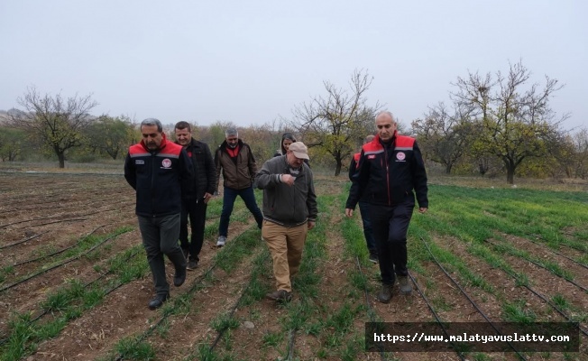 Yarımcahan’da Safran Atağı: Dekarda 900 Gram Başarı