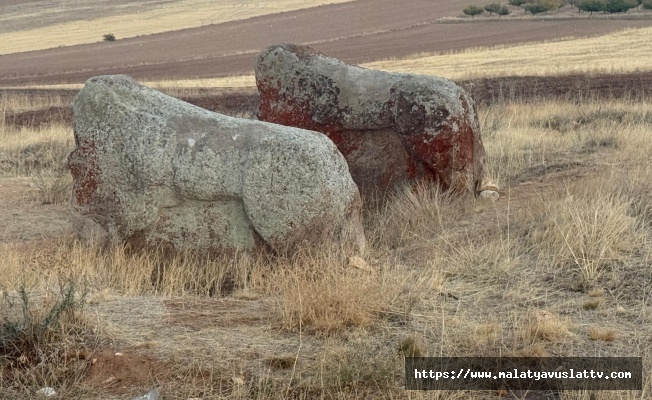 Aslantaşlar Yerinde Kalacak: Taşıma Kararı İptal Edildi