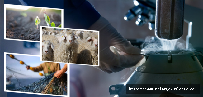 Çiftçinin Yüzünü Güldüren Ödeme Hesaplara Yattı!