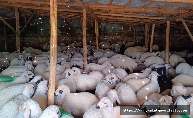 Halk Elinde Islah Projelerine 2,7 Milyar TL Destek