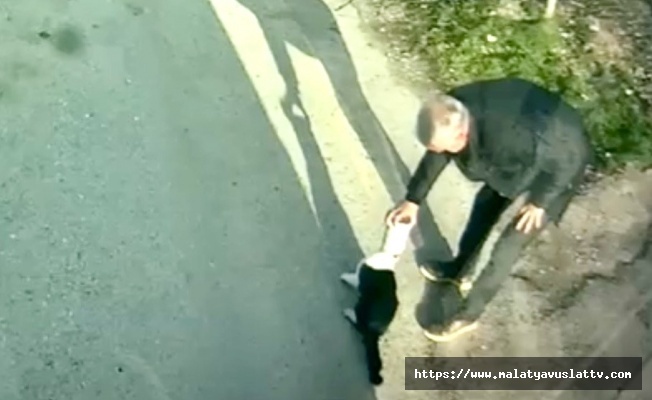 Kafasına Konserve Kutusu Sıkışan Kediyi MOTAŞ Şoförü Kurtardı