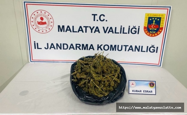 Narkotik Operasyonunda 1 Kişi Gözaltına Alındı