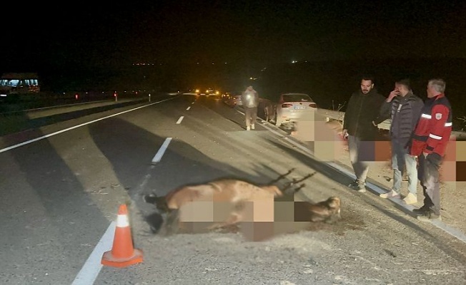 Sultansuyu’nda Skandalın Bedeli