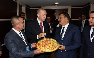 Başkan Gürkan AK Parti Genişletilmiş İl Başkanları Toplantısına katıldı
