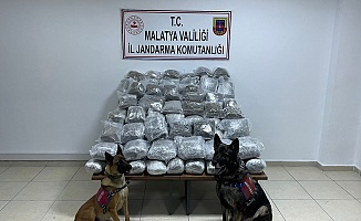 Operasyonda 83 Kilo Skunk Ele Geçirildi