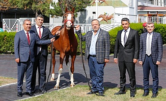 Sultansuyu Tigem'de Tarihi Rekor