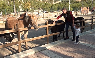 Hayvanlar Huzurlu,İnsanlar Mutlu