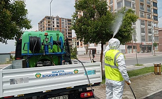 Büyükşehir İlaçlamaya  Yoğunluk Verdi!