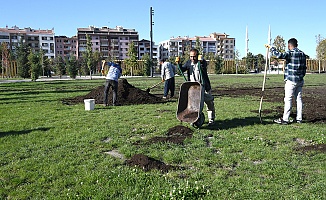 İşlek Yollara Estetik Bir Görünüm Kazandırılıyor