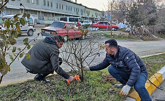 Arapgir Belediyesi Çevre Düzenlemesine Devam Ediyor