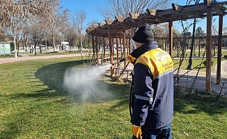 Büyükşehir Belediyesi İlaçlama Çalışmalarına Hız Verdi