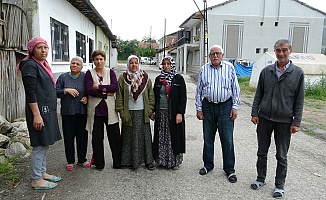 Sokak Köpekleri Mahalleliyi Canından Bezdirdi