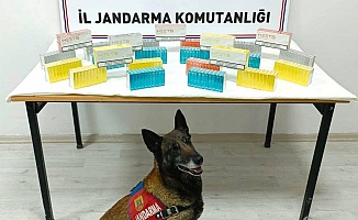 Yolcu Otobüsünde 250 Paket Elektronik Sigara Ele Geçirildi