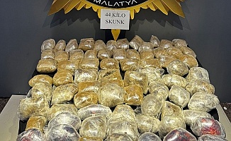 Malatya'da 44 Kilogram Skunk Ele Geçirildi