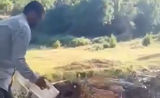 Kasalar Dolusu Kayısıyı Dereye Döktü