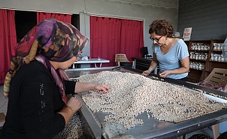 Depremden Kurtulan 2 Çocuk Annesi, Devraldığı Tesiste Tonlarca Leblebi Üretiyor