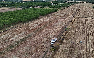 Malatya Üretilen Soğanlar Avrupa'ya İhraç Ediliyor