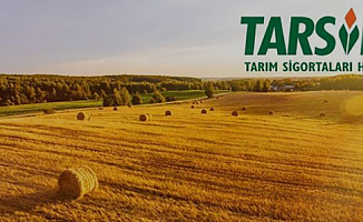 TARSİM'den Çiftçilere 960 Milyon TL Prim Ödemesi