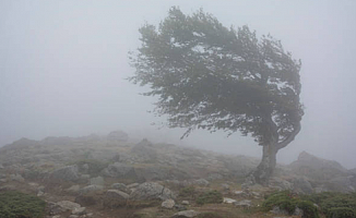 Meteoroloji'den Malatya İçin Fırtına Uyarısı