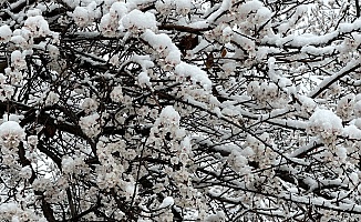 Meteorolojinin Malatya İçin ‘Kuvvetli Yağış' ve ‘Zirai Don' Uyası Sürüyor